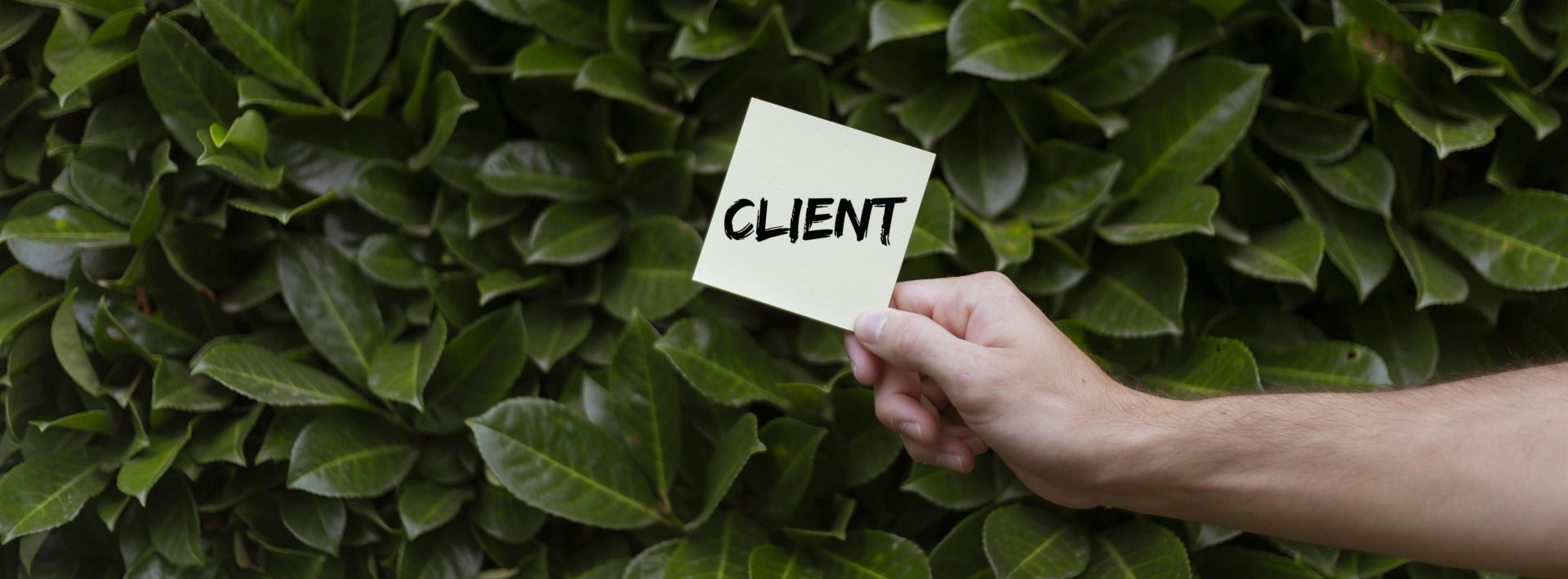 Close-up of a hand holding a note with the word 'CLIENT' in front of a lush green leafy background.